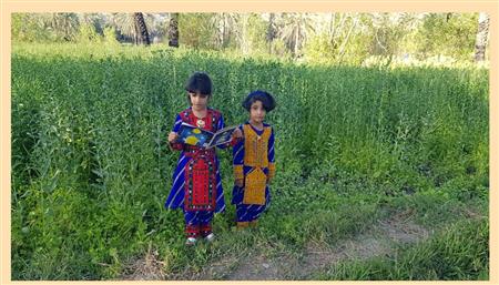 سایر فعالیت ها